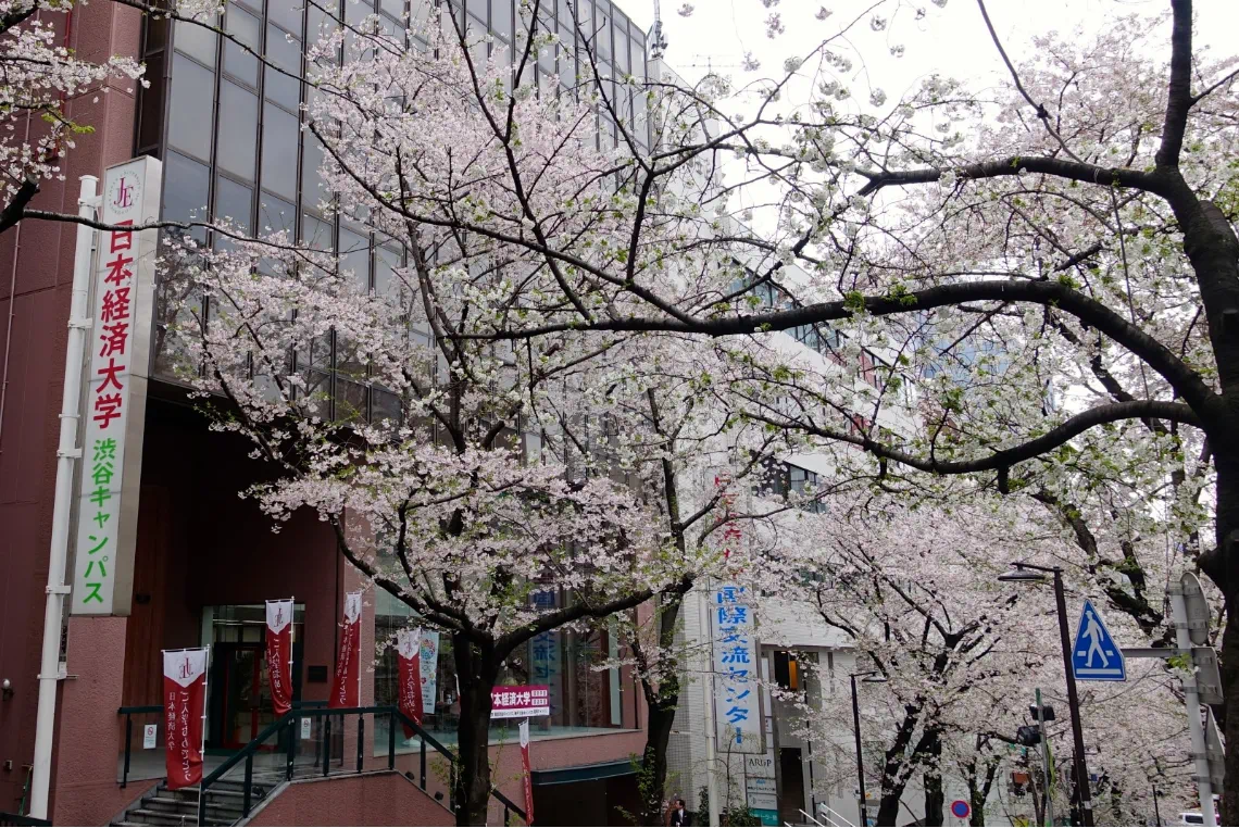 出国留学 留学机构 赴日本留学
