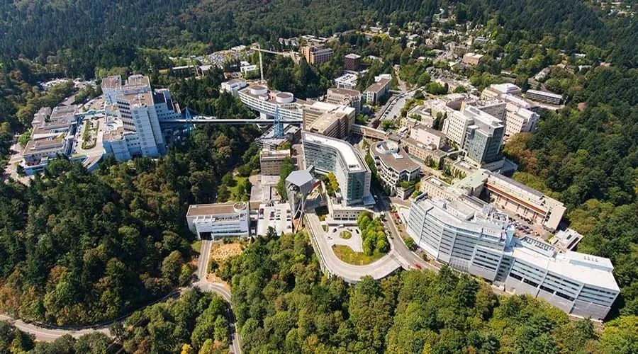 出国留学  日本留学