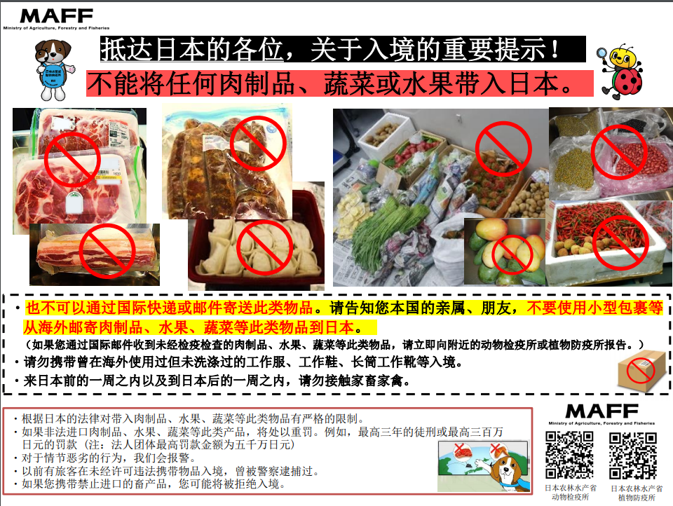 21世纪佳益出国留学
